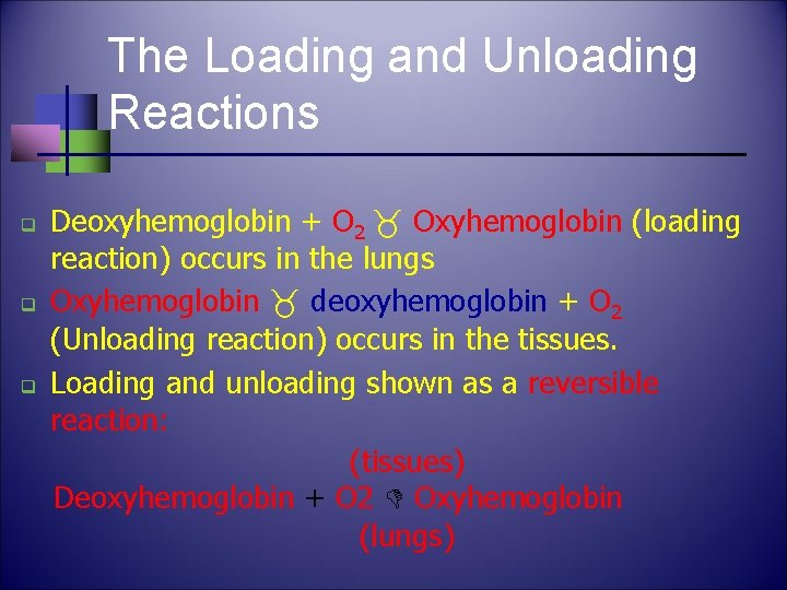 The Loading and Unloading Reactions q q q Deoxyhemoglobin + O 2 Oxyhemoglobin (loading