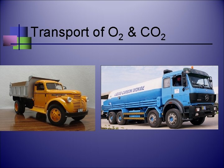 Transport of O 2 & CO 2 