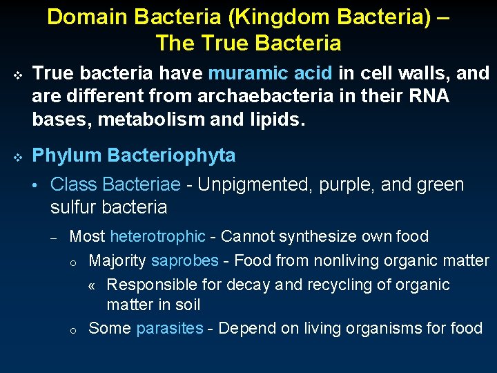 Domain Bacteria (Kingdom Bacteria) – The True Bacteria v v True bacteria have muramic