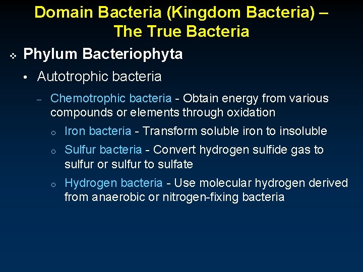 Domain Bacteria (Kingdom Bacteria) – The True Bacteria v Phylum Bacteriophyta • Autotrophic bacteria