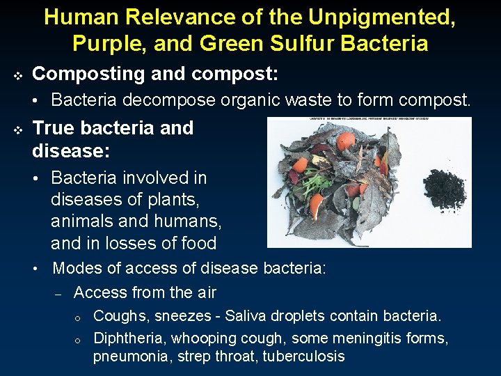 Human Relevance of the Unpigmented, Purple, and Green Sulfur Bacteria v Composting and compost: