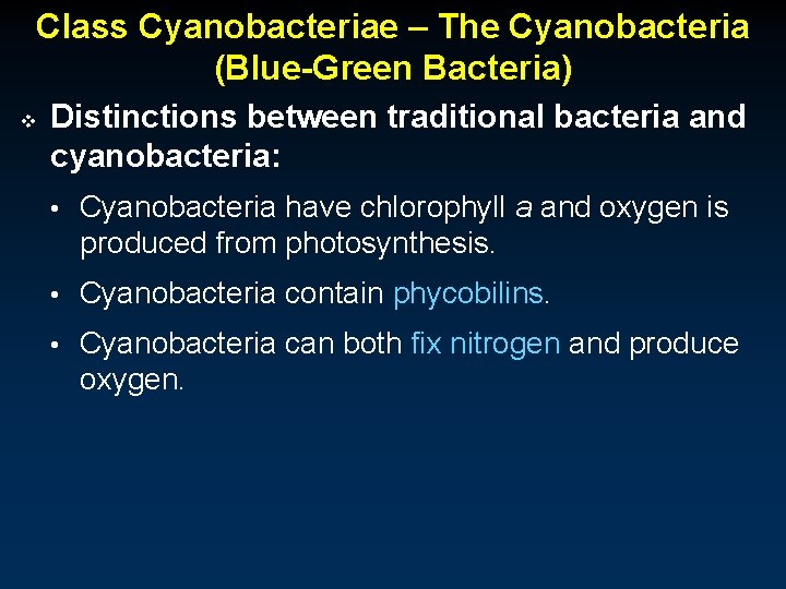 Class Cyanobacteriae – The Cyanobacteria (Blue-Green Bacteria) v Distinctions between traditional bacteria and cyanobacteria: