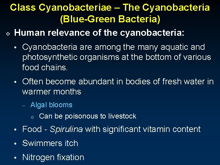 Class Cyanobacteriae – The Cyanobacteria (Blue-Green Bacteria) v Human relevance of the cyanobacteria: •