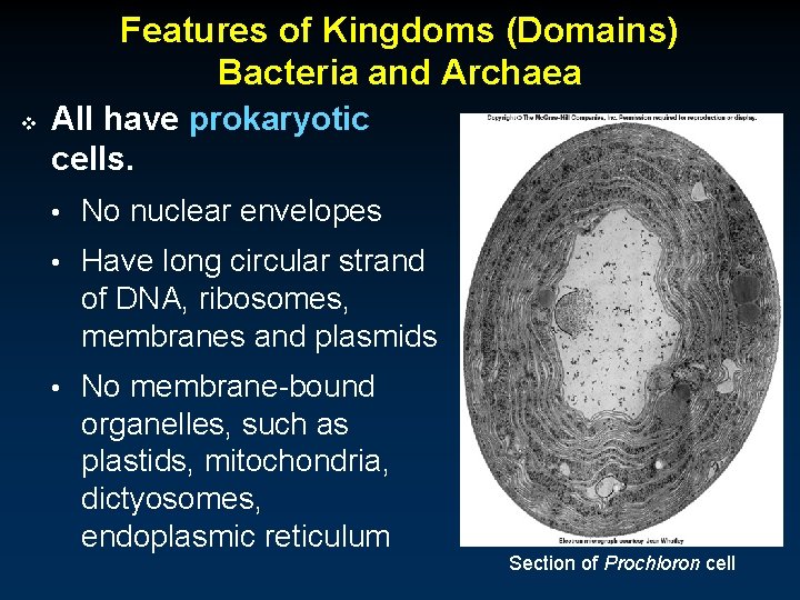 Features of Kingdoms (Domains) Bacteria and Archaea v All have prokaryotic cells. • No