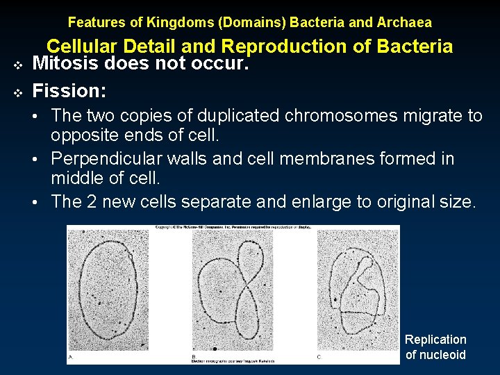 Features of Kingdoms (Domains) Bacteria and Archaea v v Cellular Detail and Reproduction of