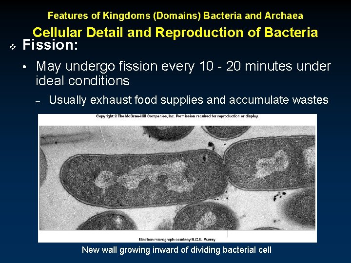 Features of Kingdoms (Domains) Bacteria and Archaea Cellular Detail and Reproduction of Bacteria v