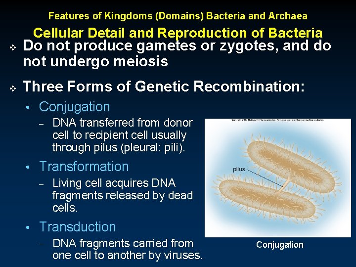 Features of Kingdoms (Domains) Bacteria and Archaea Cellular Detail and Reproduction of Bacteria v
