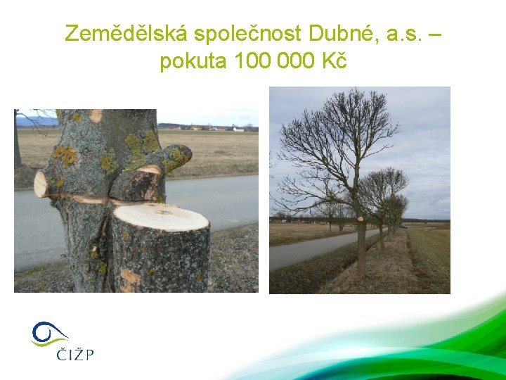 Zemědělská společnost Dubné, a. s. – pokuta 100 000 Kč 