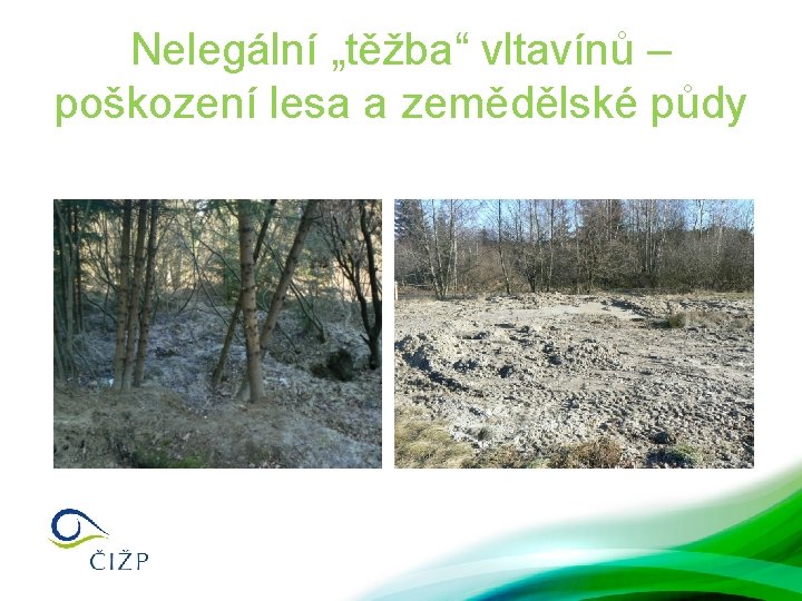 Nelegální „těžba“ vltavínů – poškození lesa a zemědělské půdy 