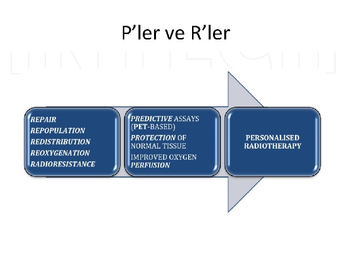 P’ler ve R’ler 
