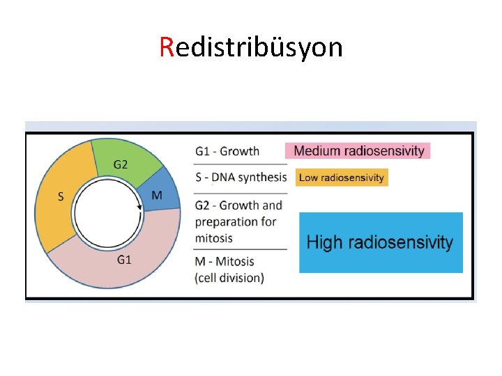 Redistribüsyon 