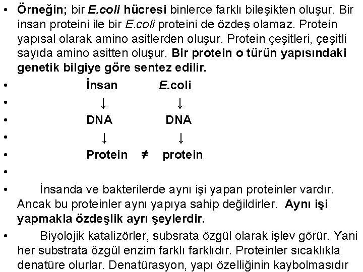  • Örneğin; bir E. coli hücresi binlerce farklı bileşikten oluşur. Bir insan proteini