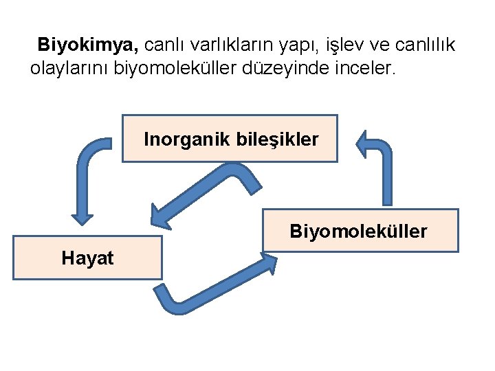 Biyokimya, canlı varlıkların yapı, işlev ve canlılık olaylarını biyomoleküller düzeyinde inceler. Inorganik bileşikler Biyomoleküller