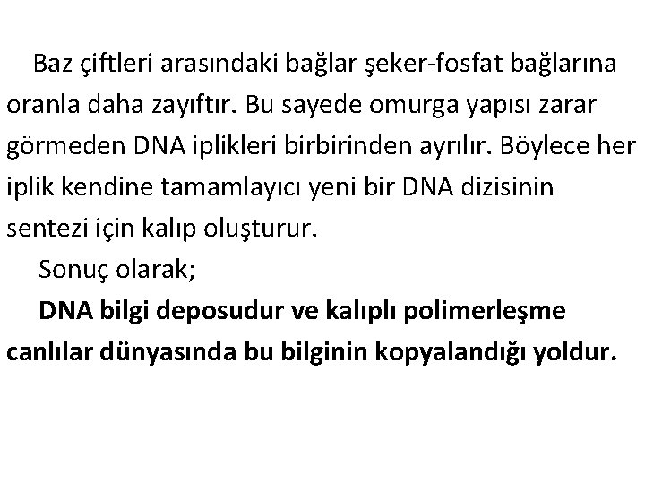  Baz çiftleri arasındaki bağlar şeker-fosfat bağlarına oranla daha zayıftır. Bu sayede omurga yapısı