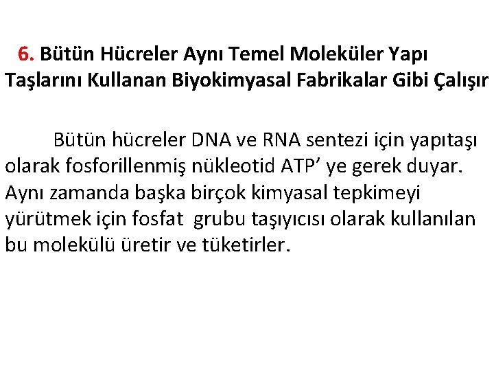  6. Bütün Hücreler Aynı Temel Moleküler Yapı Taşlarını Kullanan Biyokimyasal Fabrikalar Gibi Çalışır