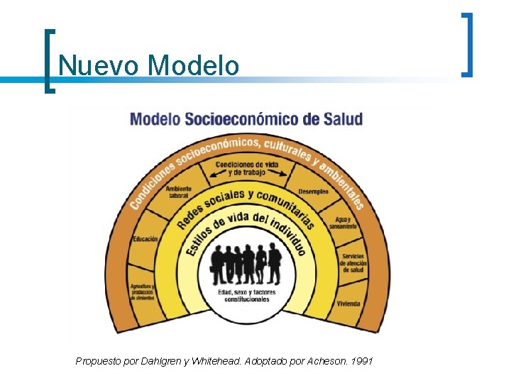 Nuevo Modelo Propuesto por Dahlgren y Whitehead. Adoptado por Acheson. 1991 Nuevo Modelo Propuesto por Dahlgren y Whitehead. Adoptado por Acheson. 1991