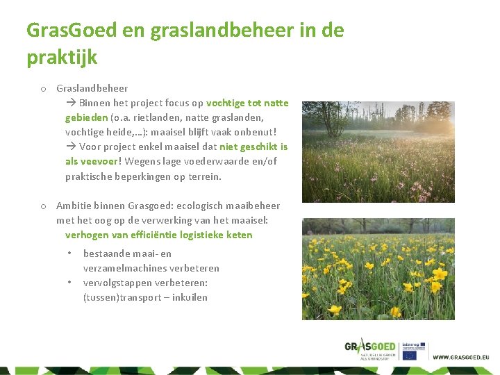 Gras. Goed en graslandbeheer in de praktijk o Graslandbeheer Binnen het project focus op