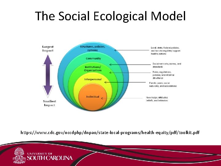 The Social Ecological Model https: //www. cdc. gov/nccdphp/dnpao/state-local-programs/health-equity/pdf/toolkit. pdf 