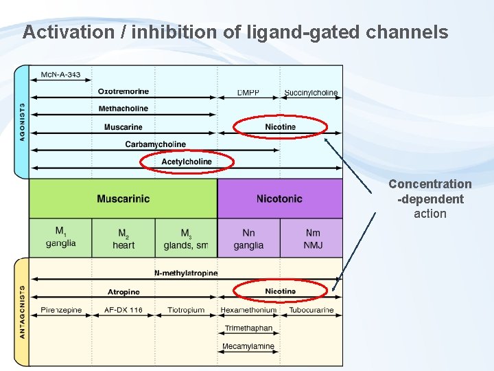 Activation / inhibition of ligand-gated channels Concentration -dependent action 