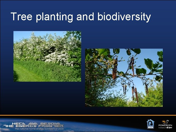 Tree planting and biodiversity 