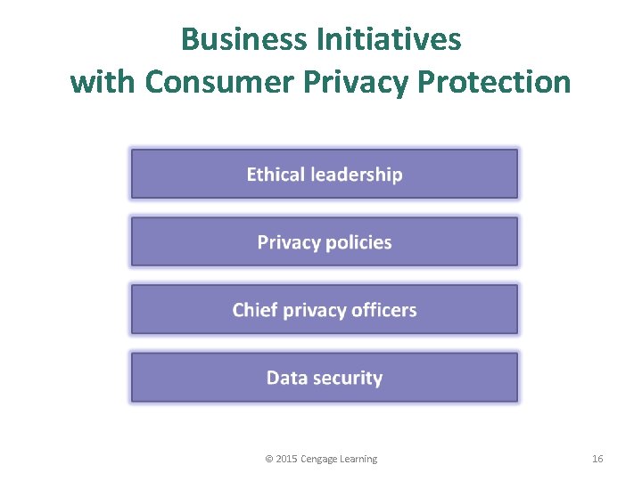 Business Initiatives with Consumer Privacy Protection © 2015 Cengage Learning 16 