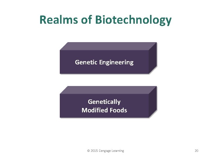 Realms of Biotechnology Genetic Engineering Genetically Modified Foods © 2015 Cengage Learning 20 