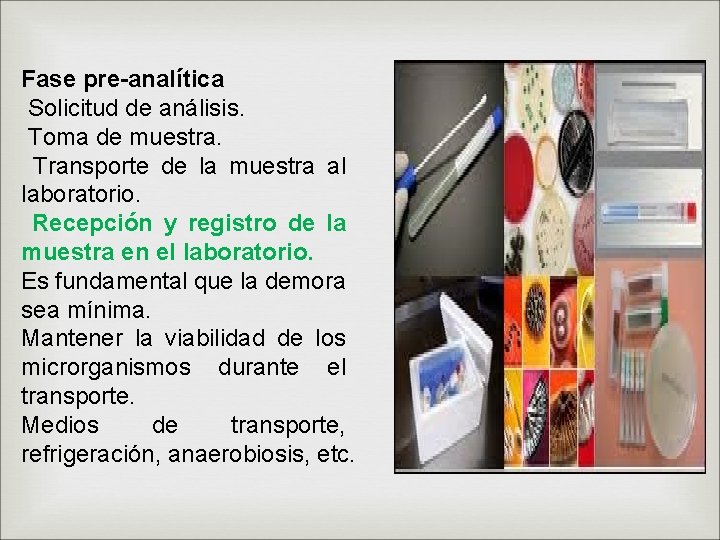 Fase pre-analítica Solicitud de análisis. Toma de muestra. Transporte de la muestra al laboratorio.