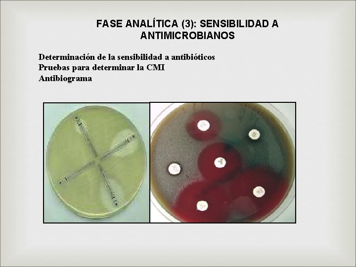 FASE ANALÍTICA (3): SENSIBILIDAD A ANTIMICROBIANOS Determinación de la sensibilidad a antibióticos Pruebas para