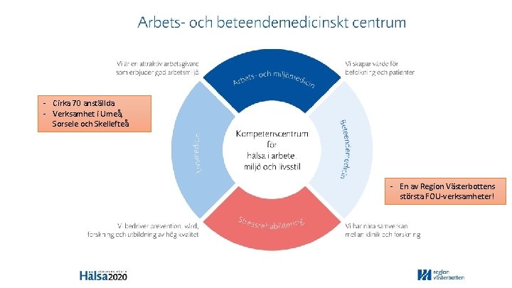 - Cirka 70 anställda - Verksamhet i Umeå, Sorsele och Skellefteå - En av