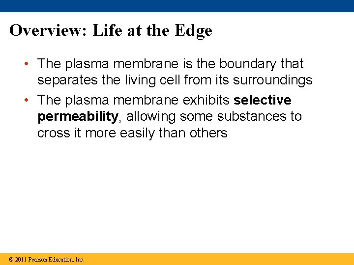 Overview: Life at the Edge • The plasma membrane is the boundary that separates
