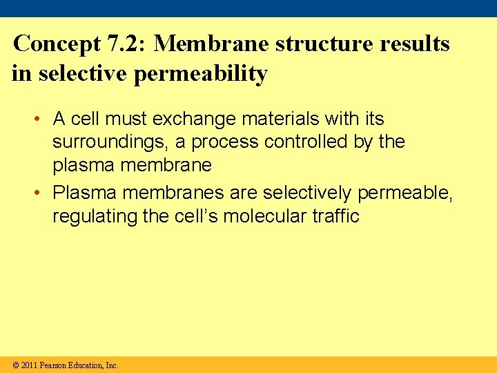 Concept 7. 2: Membrane structure results in selective permeability • A cell must exchange