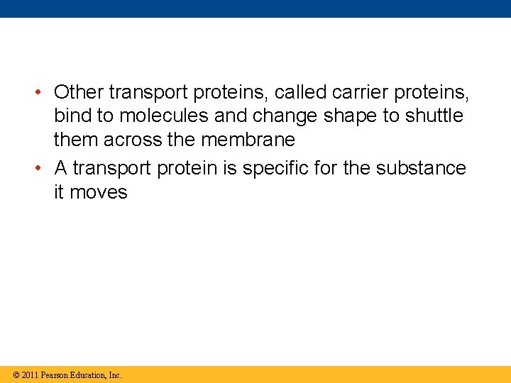  • Other transport proteins, called carrier proteins, bind to molecules and change shape