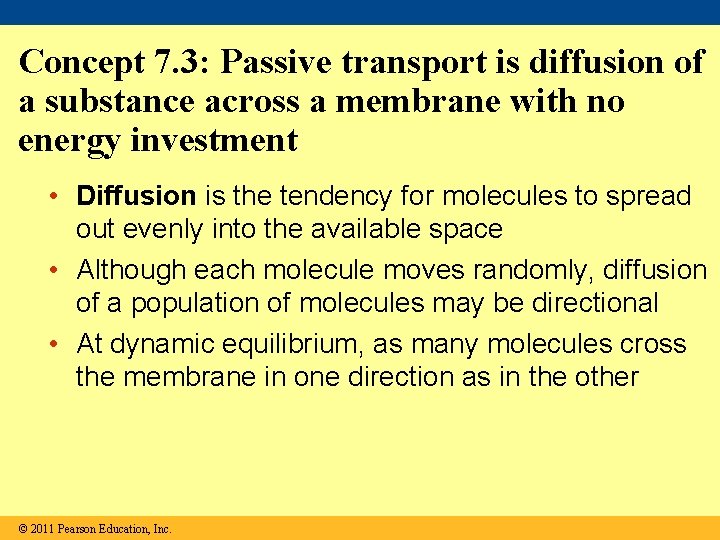 Concept 7. 3: Passive transport is diffusion of a substance across a membrane with