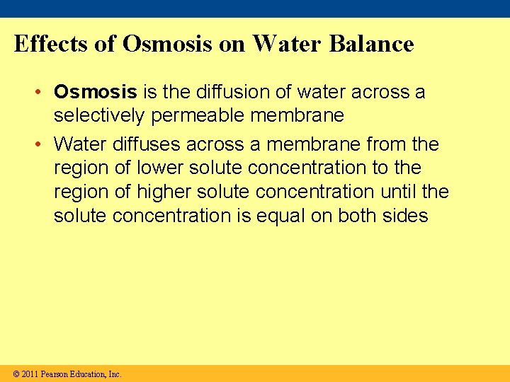 Effects of Osmosis on Water Balance • Osmosis is the diffusion of water across