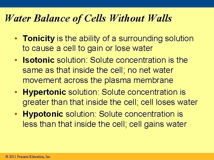 Water Balance of Cells Without Walls • Tonicity is the ability of a surrounding