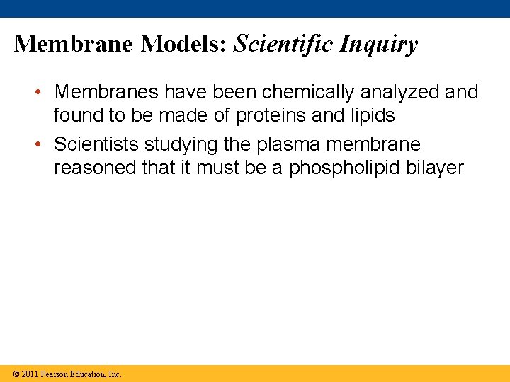 Membrane Models: Scientific Inquiry • Membranes have been chemically analyzed and found to be