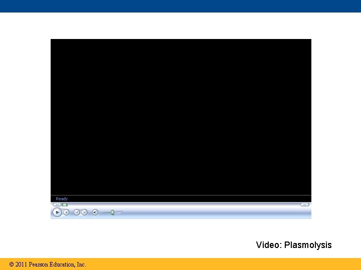 Video: Plasmolysis © 2011 Pearson Education, Inc. 