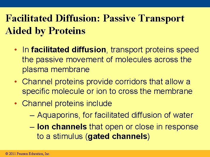 Facilitated Diffusion: Passive Transport Aided by Proteins • In facilitated diffusion, transport proteins speed