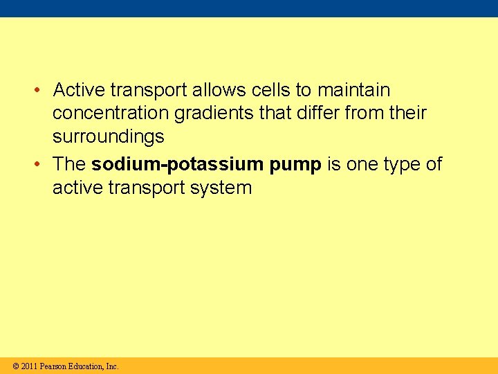  • Active transport allows cells to maintain concentration gradients that differ from their