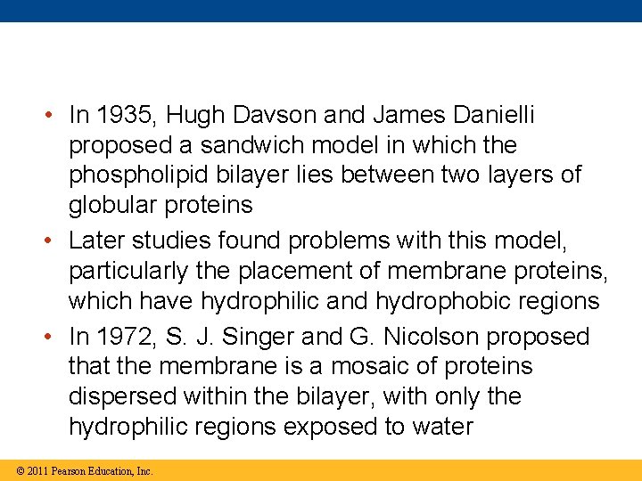  • In 1935, Hugh Davson and James Danielli proposed a sandwich model in