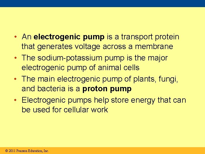  • An electrogenic pump is a transport protein that generates voltage across a