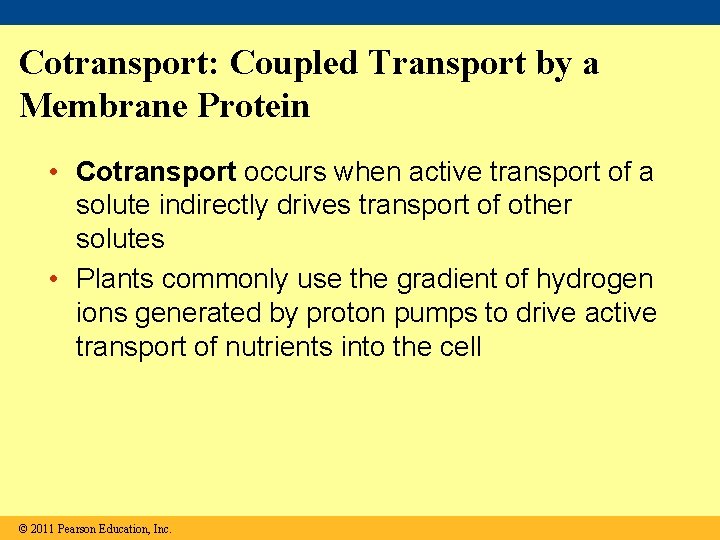 Cotransport: Coupled Transport by a Membrane Protein • Cotransport occurs when active transport of