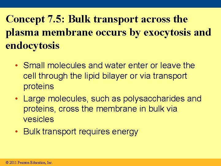 Concept 7. 5: Bulk transport across the plasma membrane occurs by exocytosis and endocytosis