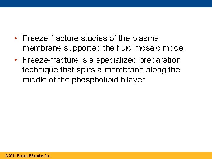  • Freeze-fracture studies of the plasma membrane supported the fluid mosaic model •