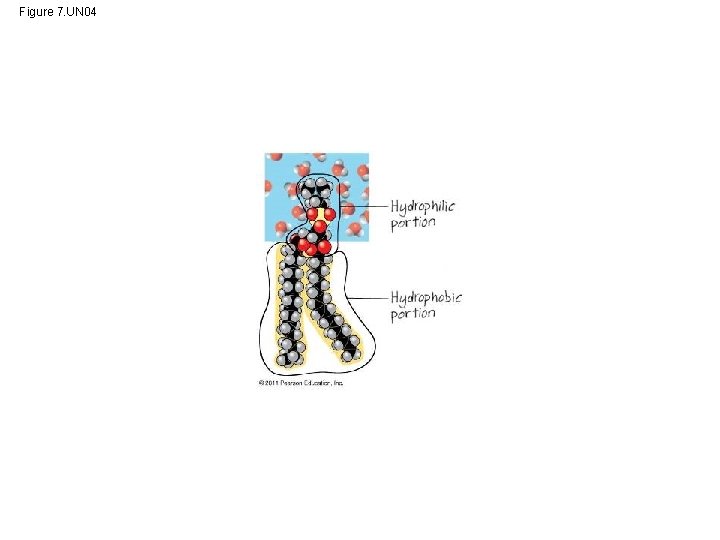 Figure 7. UN 04 