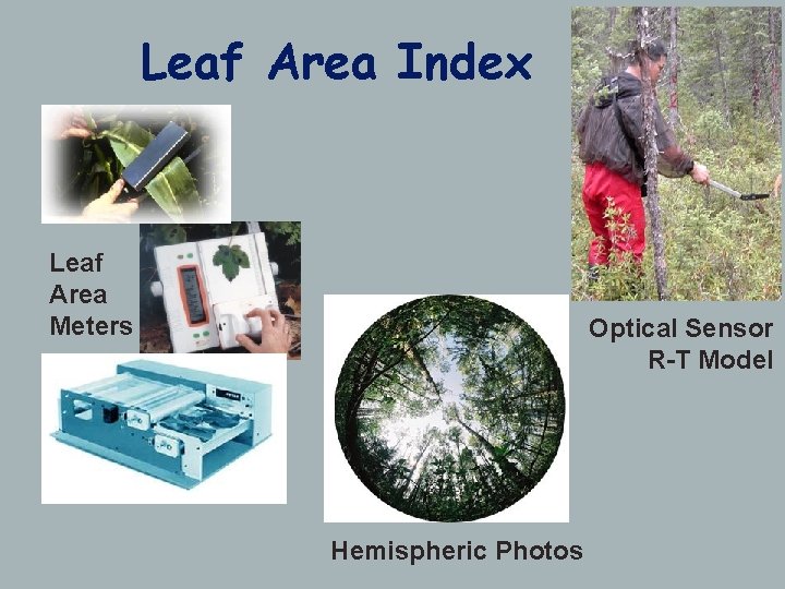 Leaf Area Index Leaf Area Meters Optical Sensor R-T Model Hemispheric Photos 