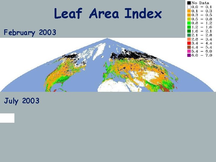 Leaf Area Index February 2003 July 2003 