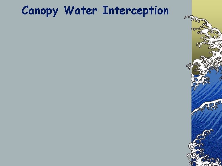 Canopy Water Interception 
