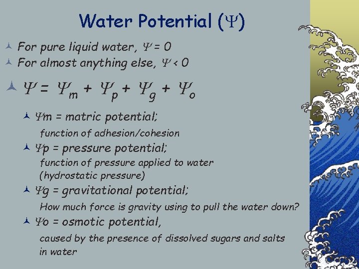 Water Potential ( ) © For pure liquid water, = 0 © For almost