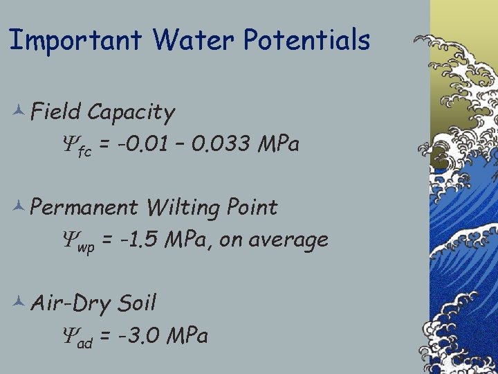 Important Water Potentials ©Field Capacity fc = -0. 01 – 0. 033 MPa ©Permanent
